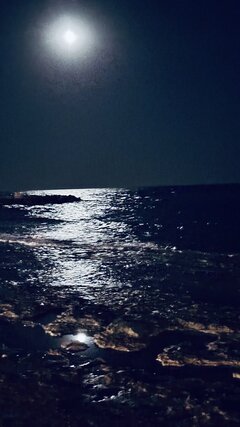 IMG_5094.jpeg
