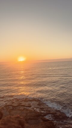 IMG_5459.jpeg