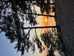 IMG_5051.jpeg