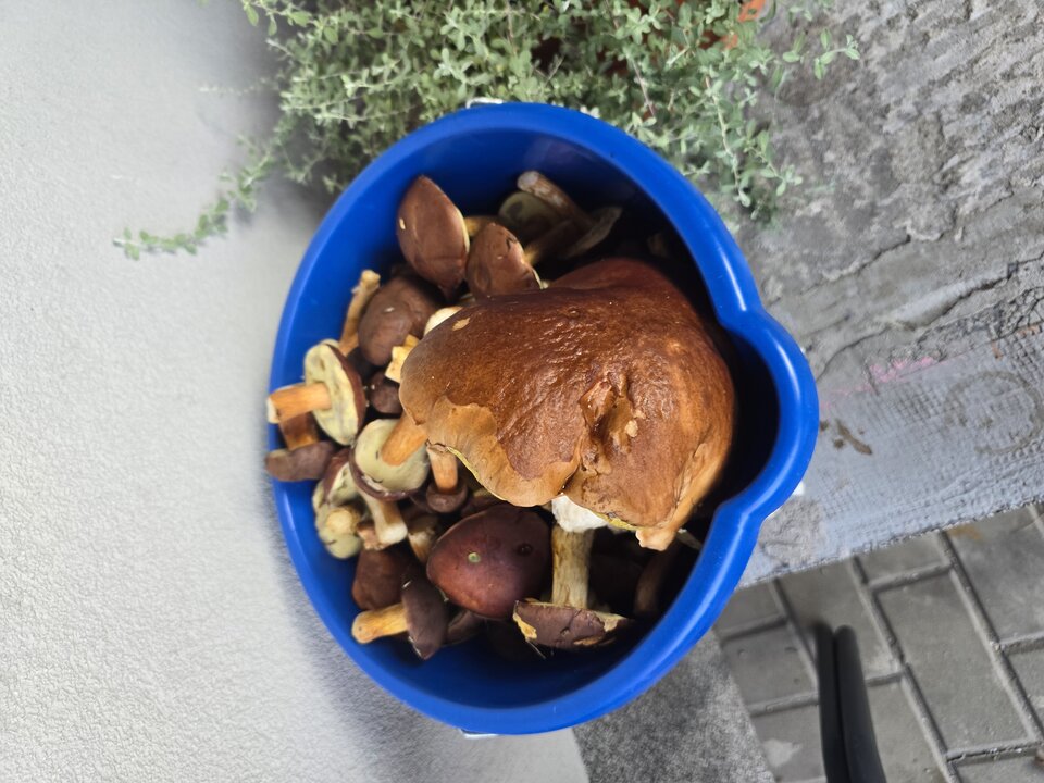 1000013559.jpg - CzornyDuzy