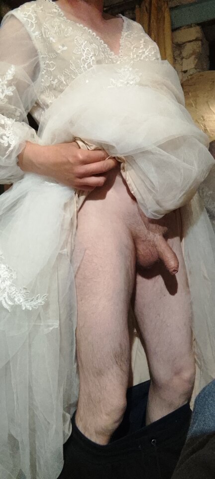 IMG_20250612_202351_851.jpg - Tygrys4040