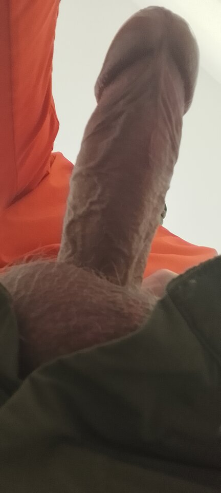 1000018031.jpg - Leonidas527