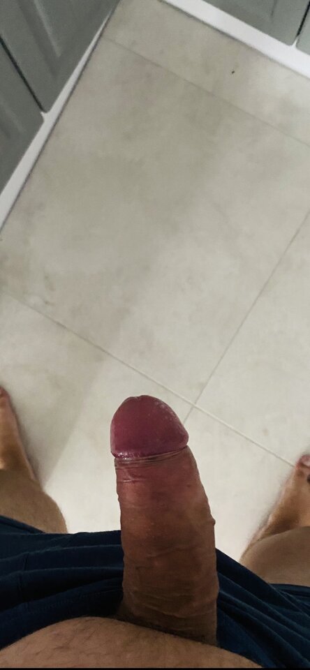 IMG_1206.jpeg - parawawa78i79