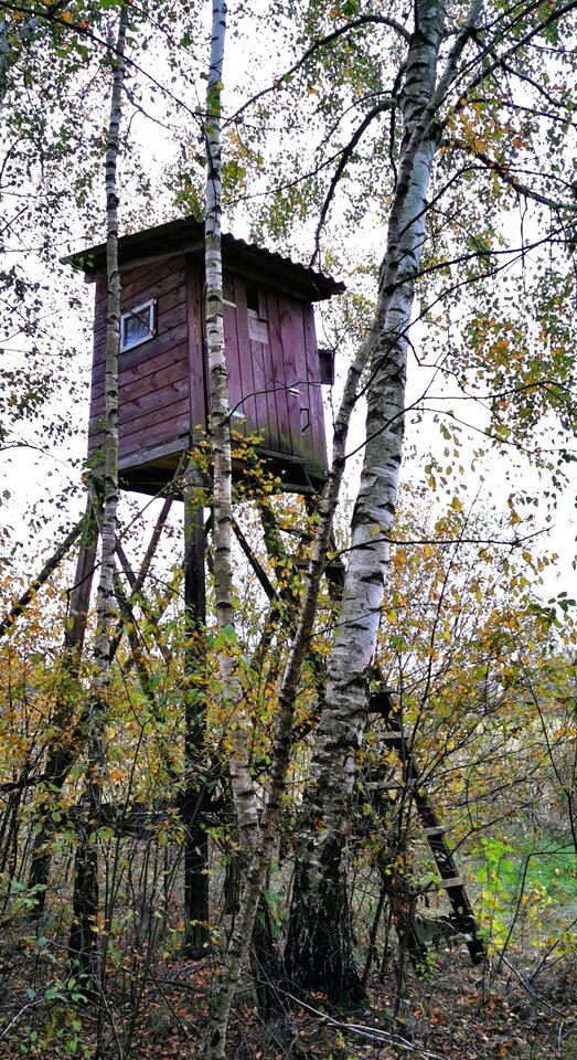 IMG_20251016_171558_edit_518218219634987.jpg - majo82