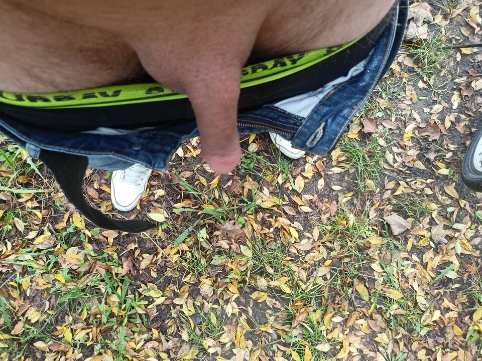 IMG20251016152748.jpg - Lukasz432109