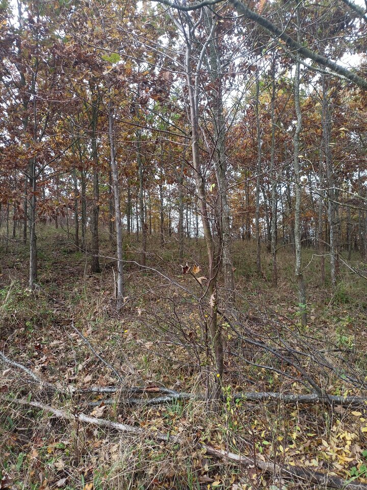 IMG20251016152724.jpg - Lukasz432109