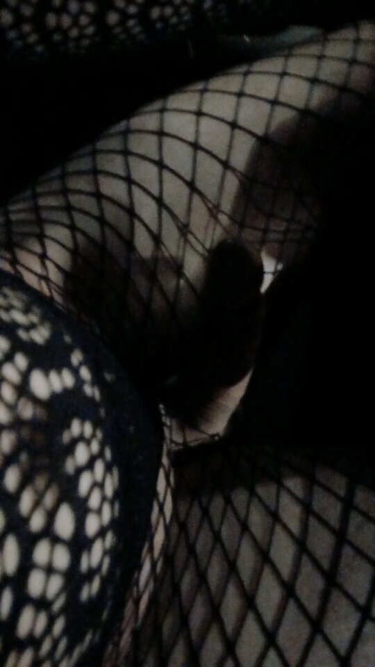 1000017122.jpg - Transpola