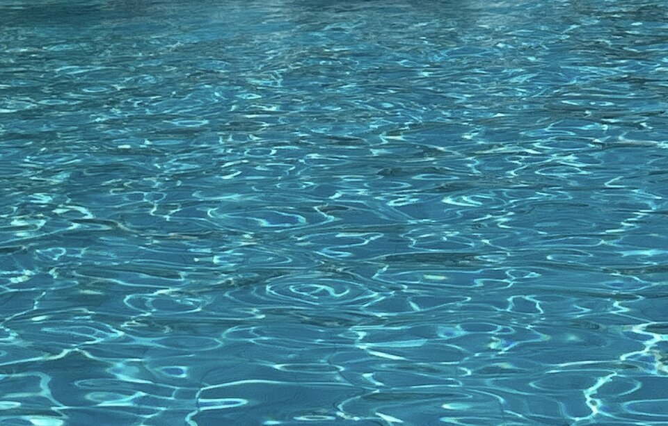 IMG_6831.jpeg - szakal29