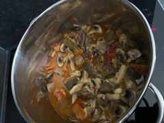 IMG_7911.jpeg