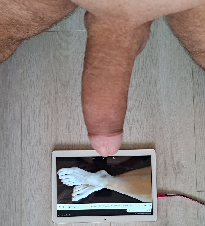 attach (1).jpeg - stopy_zony
