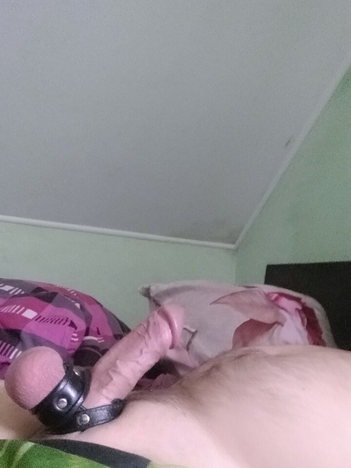 IMG_20250629_091136.jpg - speed362