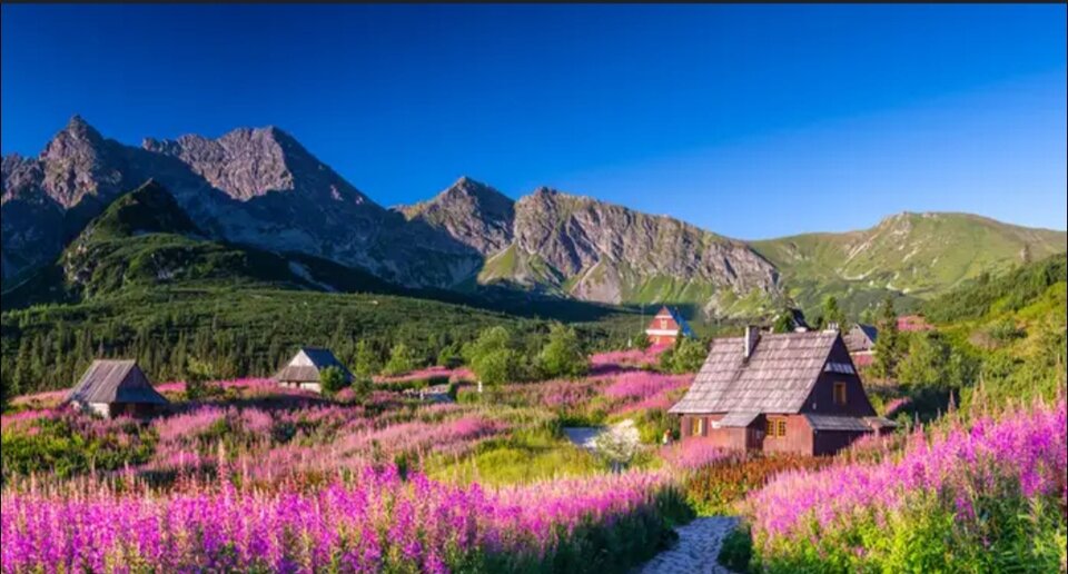 1000004638.jpg - Paula50