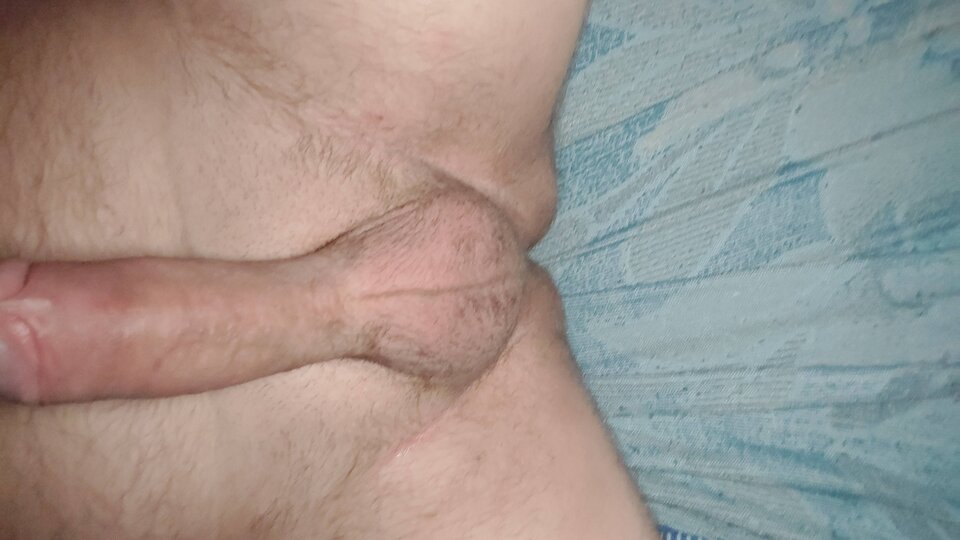 8baa0f4c-7690-4fda-8656-016cdd2124ed-1_all_28986.jpg - Patrros