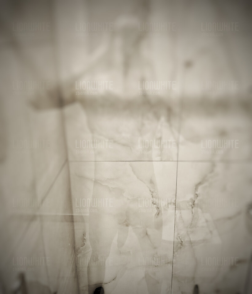 IMG20240906144718.jpg - LionWhite