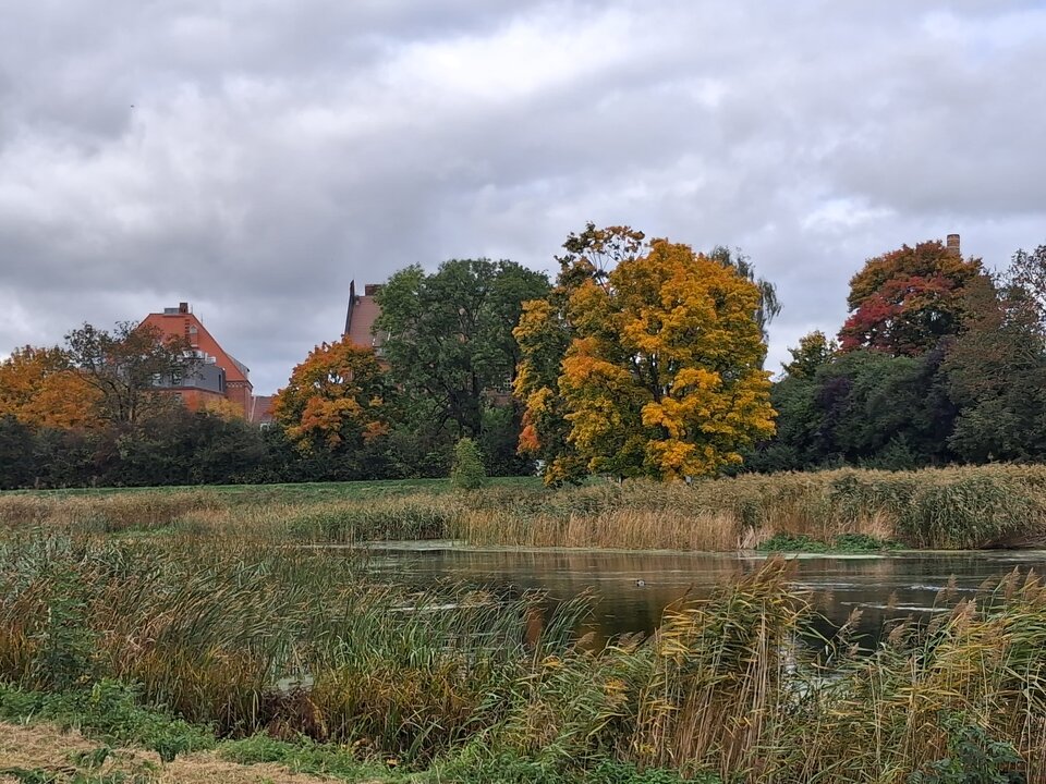 20251012_133803.jpg - Misiek_Gd