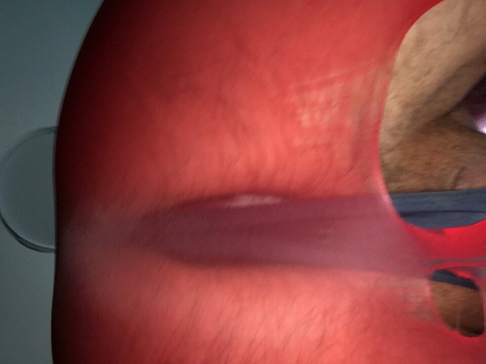 D978A070-31A4-4DB9-8986-3081B5EF57A6.jpeg - UleglyBiSzukam