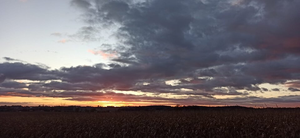 Zdjęcie WhatsApp 2025-10-18 o 20.13.00_ed1f6aed.jpg - mrwolf78