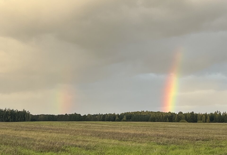 IMG_9878.jpeg - ChadValley