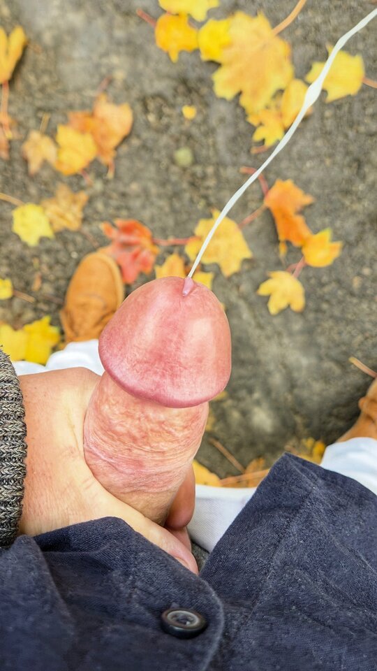 1000021254.jpg - YourSong