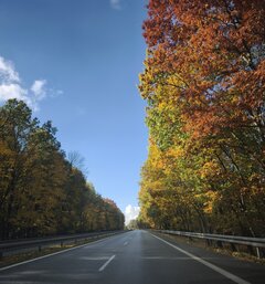 ,🍁🍂🍁🍂🍂🍁🍂🍁🍁