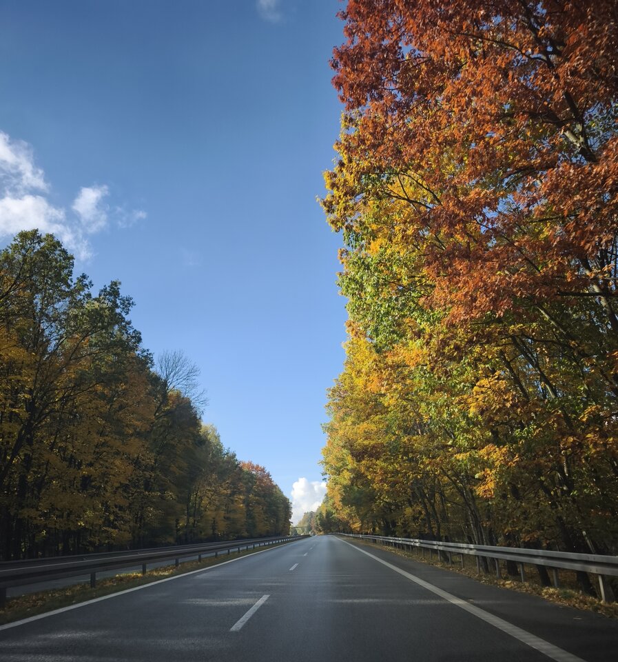 ,🍁🍂🍁🍂🍂🍁🍂🍁🍁 - pala33