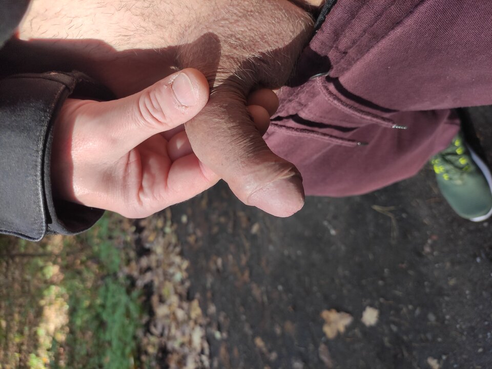 IMG_20251019_142026.jpg - Adamadam1978