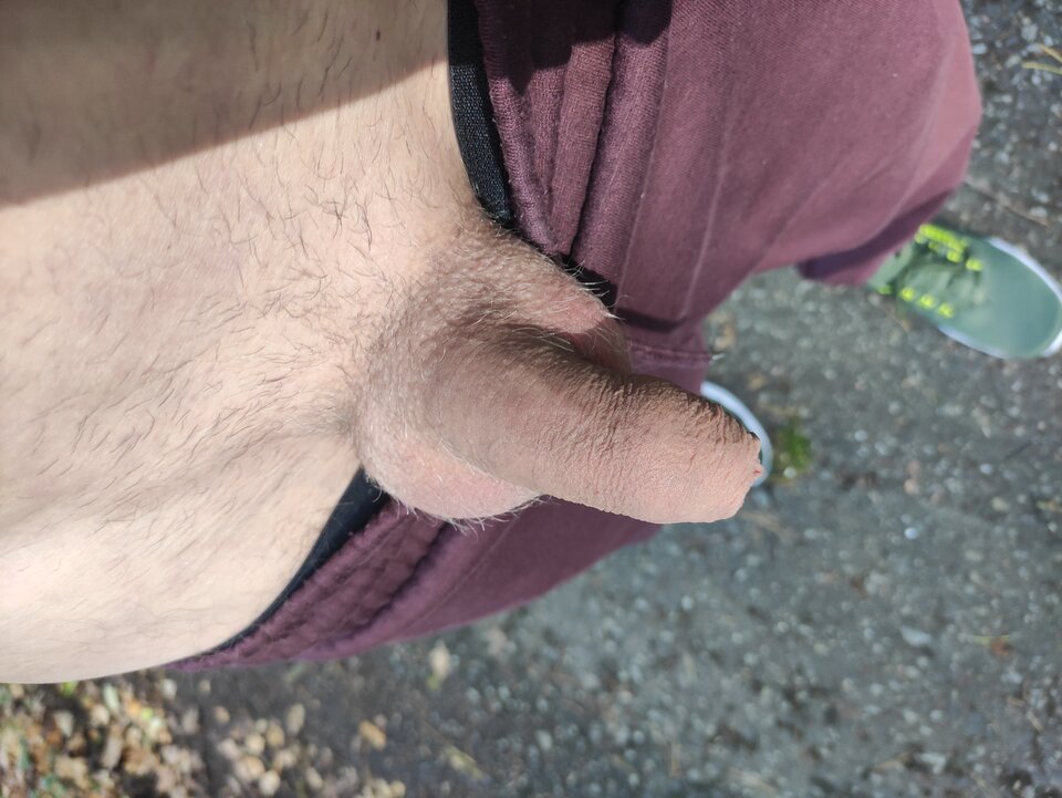 IMG_20251019_141737.jpg - Adamadam1978