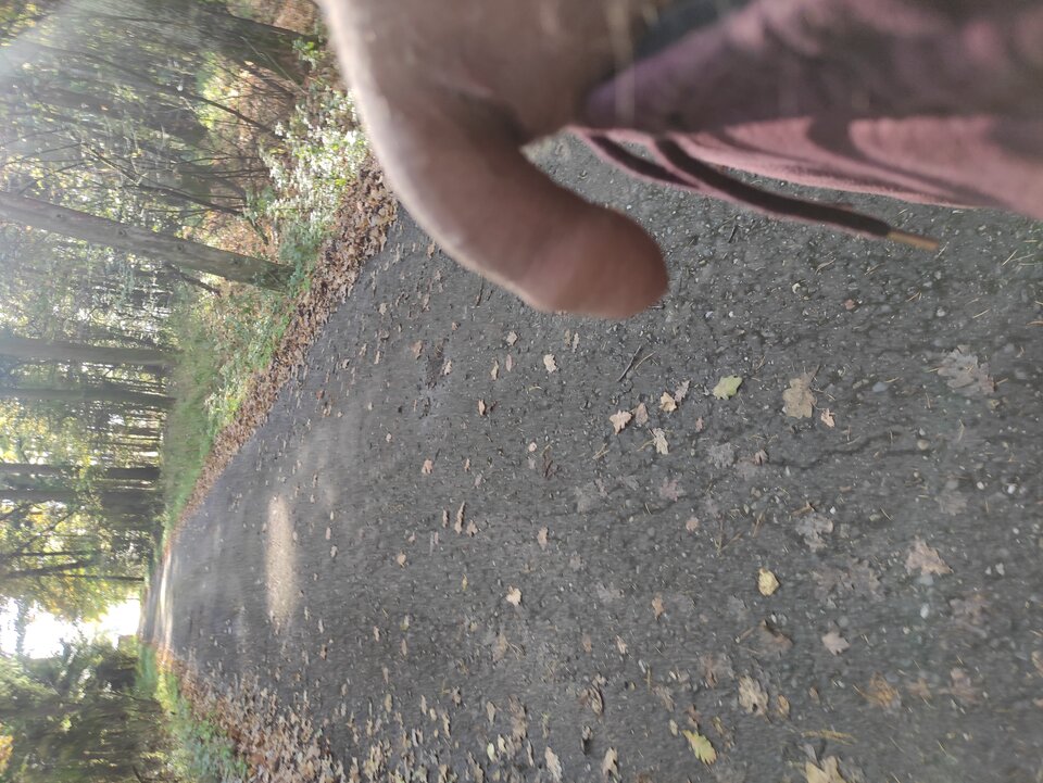 IMG_20251019_142007.jpg - Adamadam1978