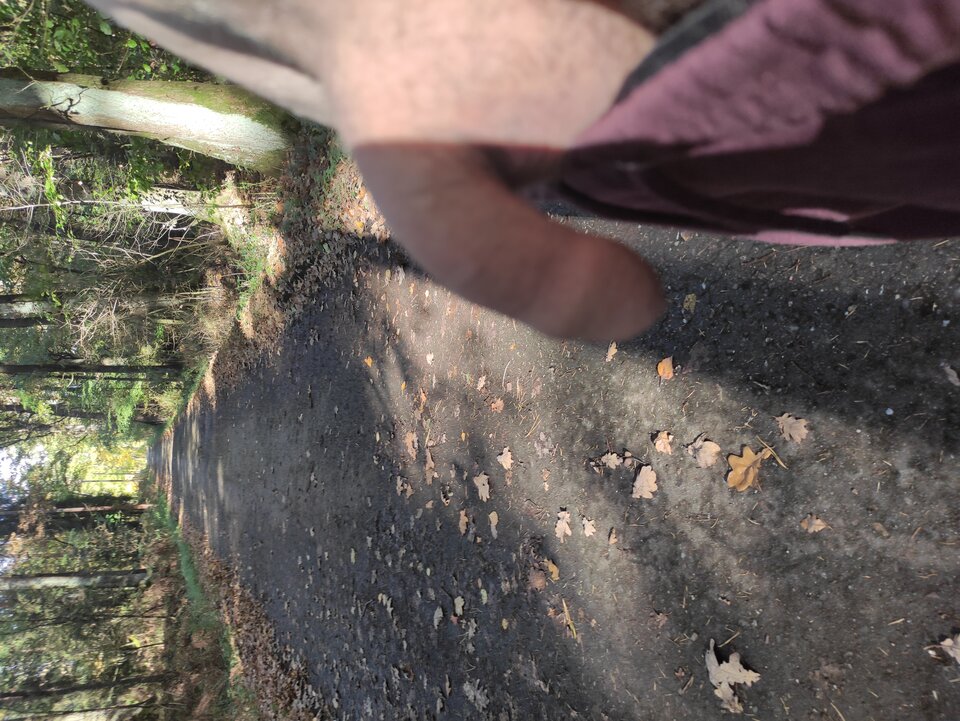 IMG_20251019_142001.jpg - Adamadam1978