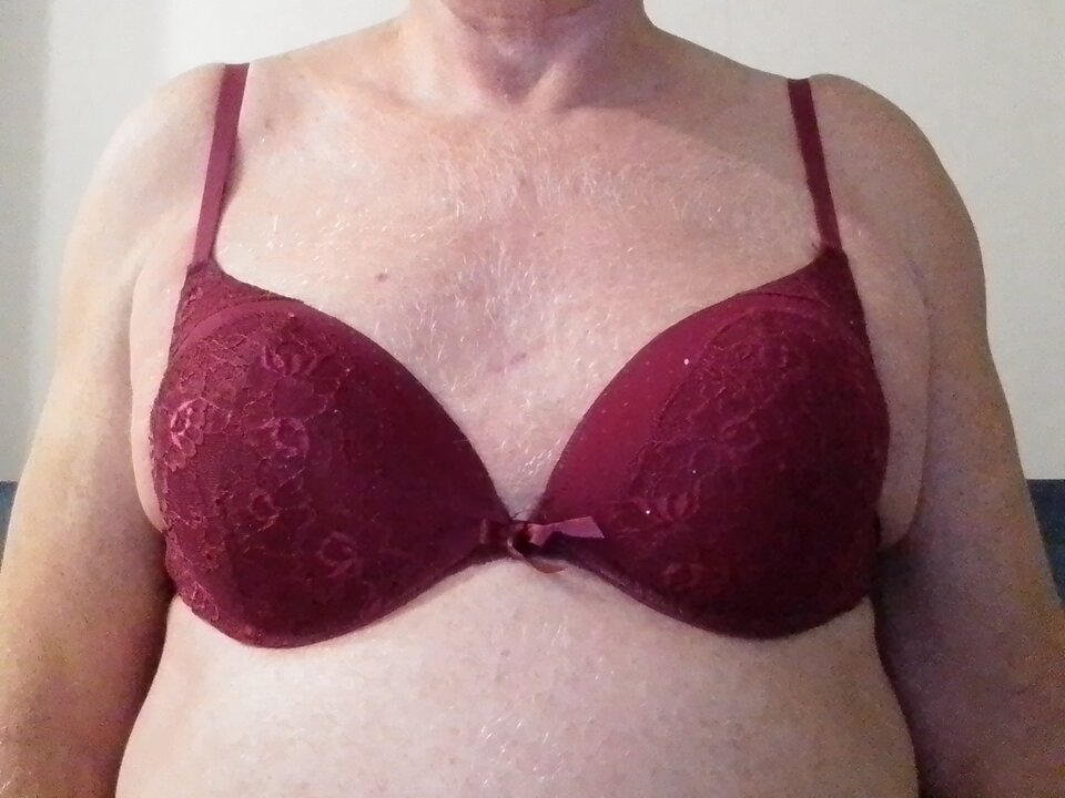 1000002948.jpg - cherubin