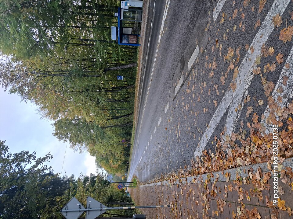 1000036107.jpg - zbagw