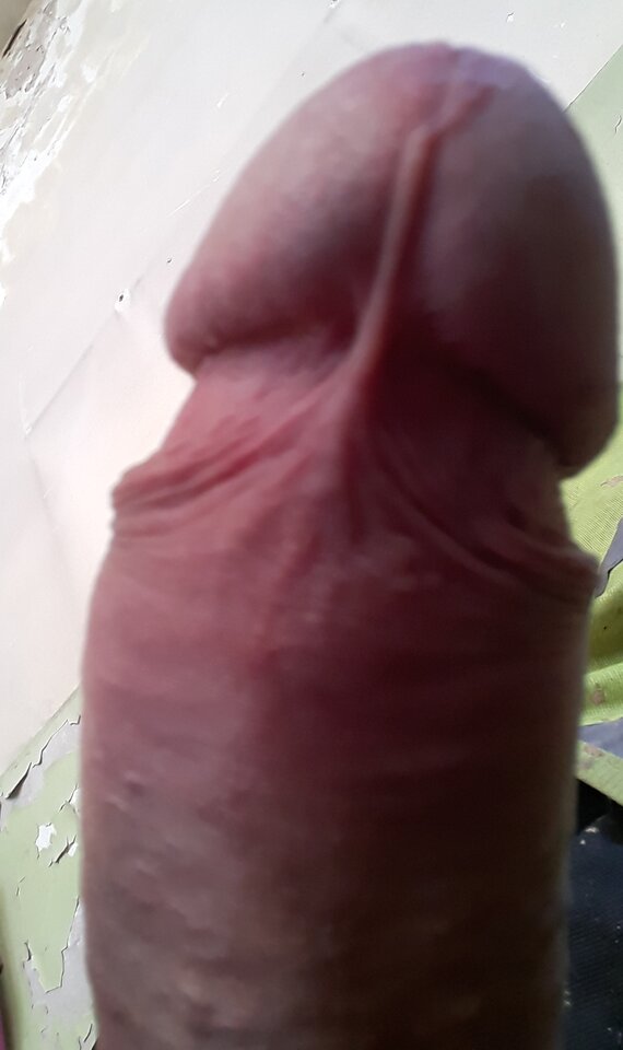 20251020_102811.jpg - 11igor11