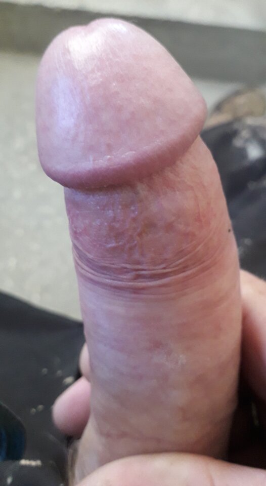 20251020_102954.jpg - 11igor11