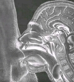 Niedługo środa dzień loda🤣