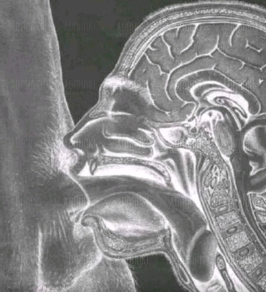 Niedługo środa dzień loda🤣 - Adminki