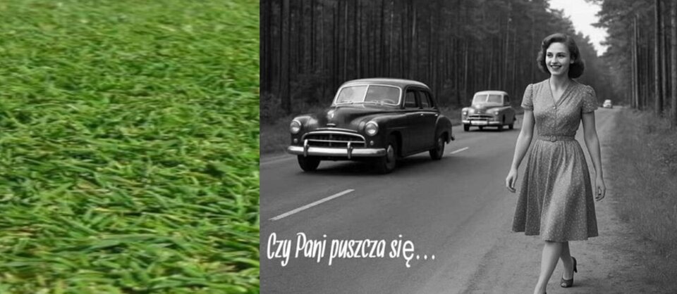 Czy-Pani-....jpg - Tomcatalfa