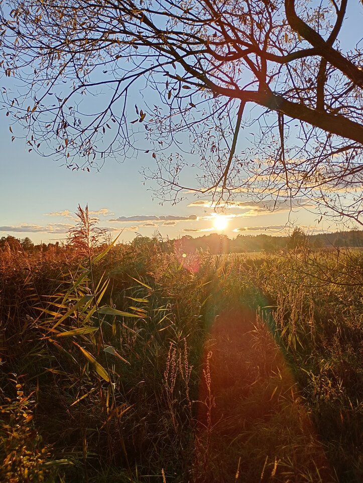 IMG_20251019_165406819_HDR.jpg - tonamimacherie3