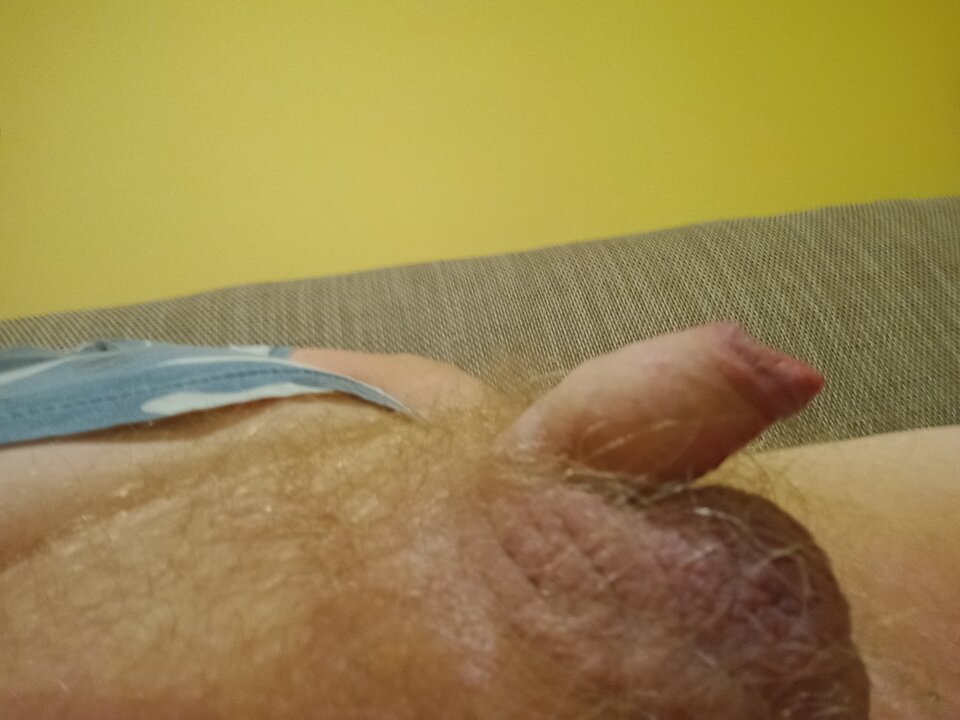 IMG_20251021_122737244_MFNR.jpg - ROBWEN86