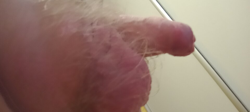 IMG_20251021_124758860_MFNR.jpg - ROBWEN86