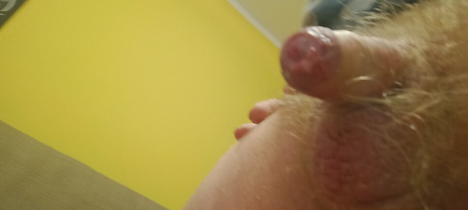 IMG_20251021_124700298_MFNR.jpg - ROBWEN86