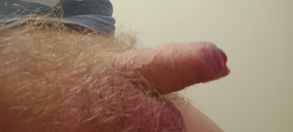 IMG_20251021_124720495_MFNR.jpg - ROBWEN86