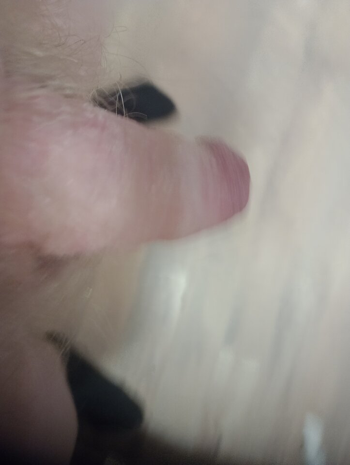 IMG_20251021_125707078_MFNR.jpg - ROBWEN86