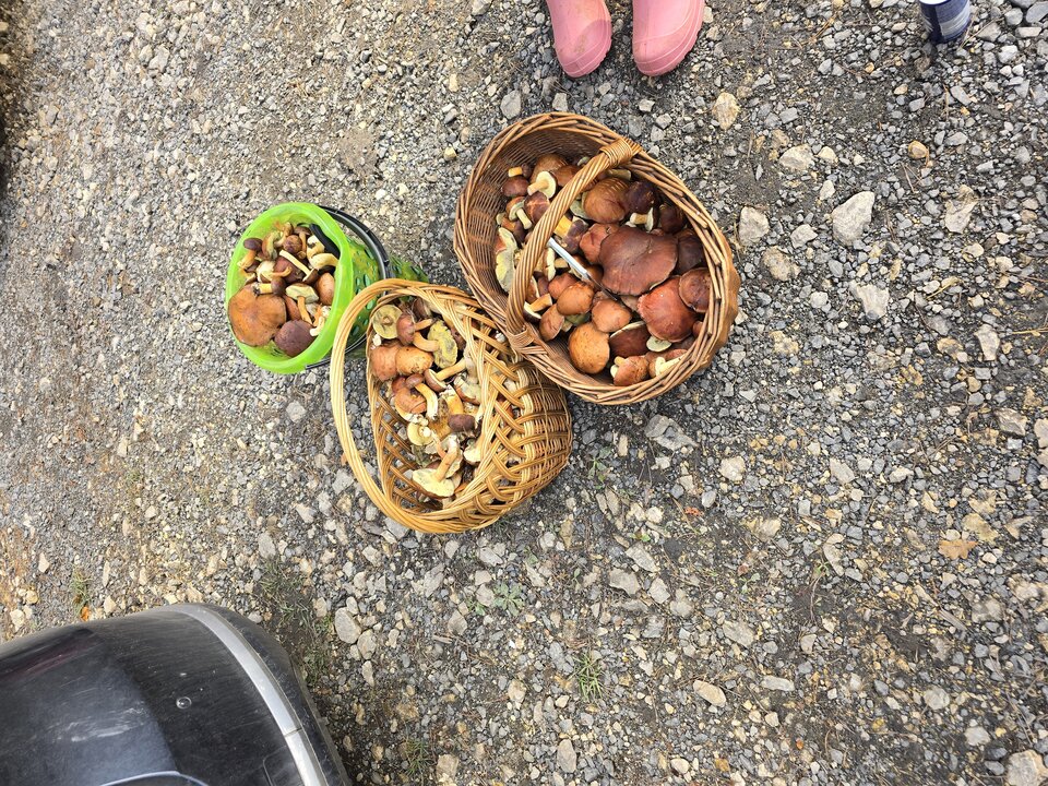 1000013876.jpg - CzornyDuzy