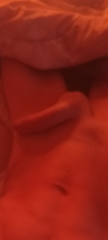 IMG_20251001_072012.jpg - MagdaRafal2023