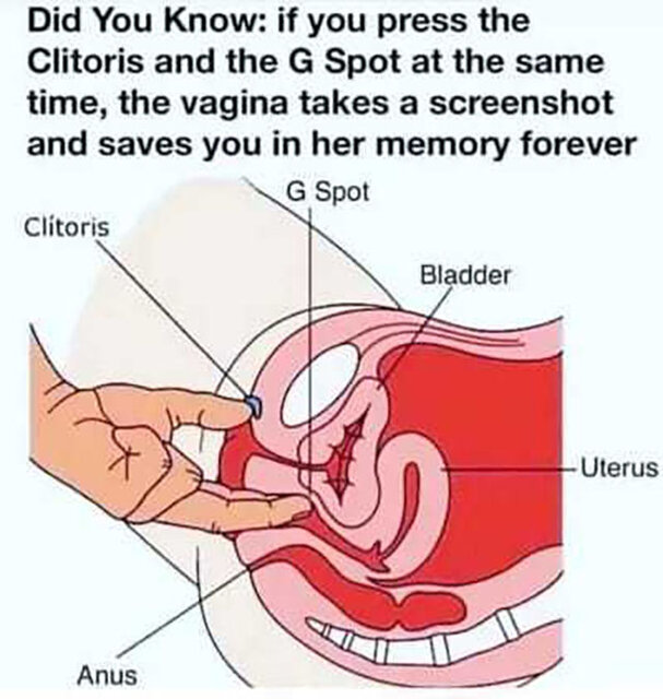 Perełka - Pan_Bzyczek