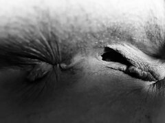 IMG_0131.jpeg