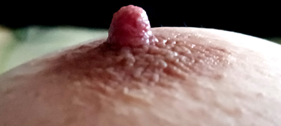 zbn003.jpg - Fajnaparka1976