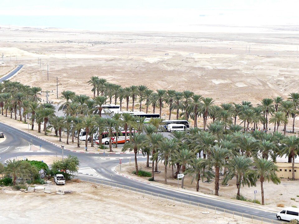 oaza%202016.jpeg - Amigo_69