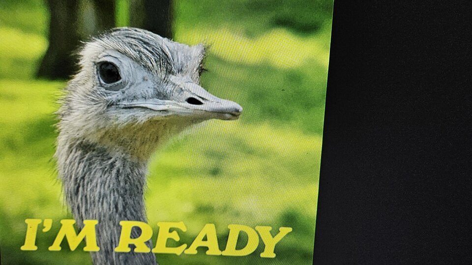 1000010079.jpg - wyluzowani7172