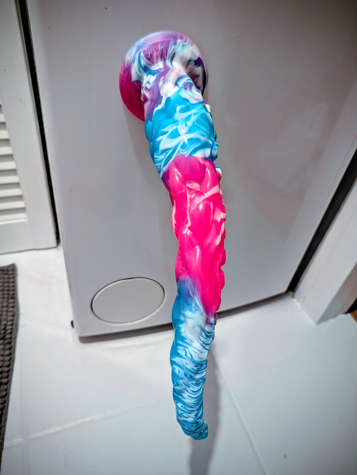 1000013628.jpg - edun